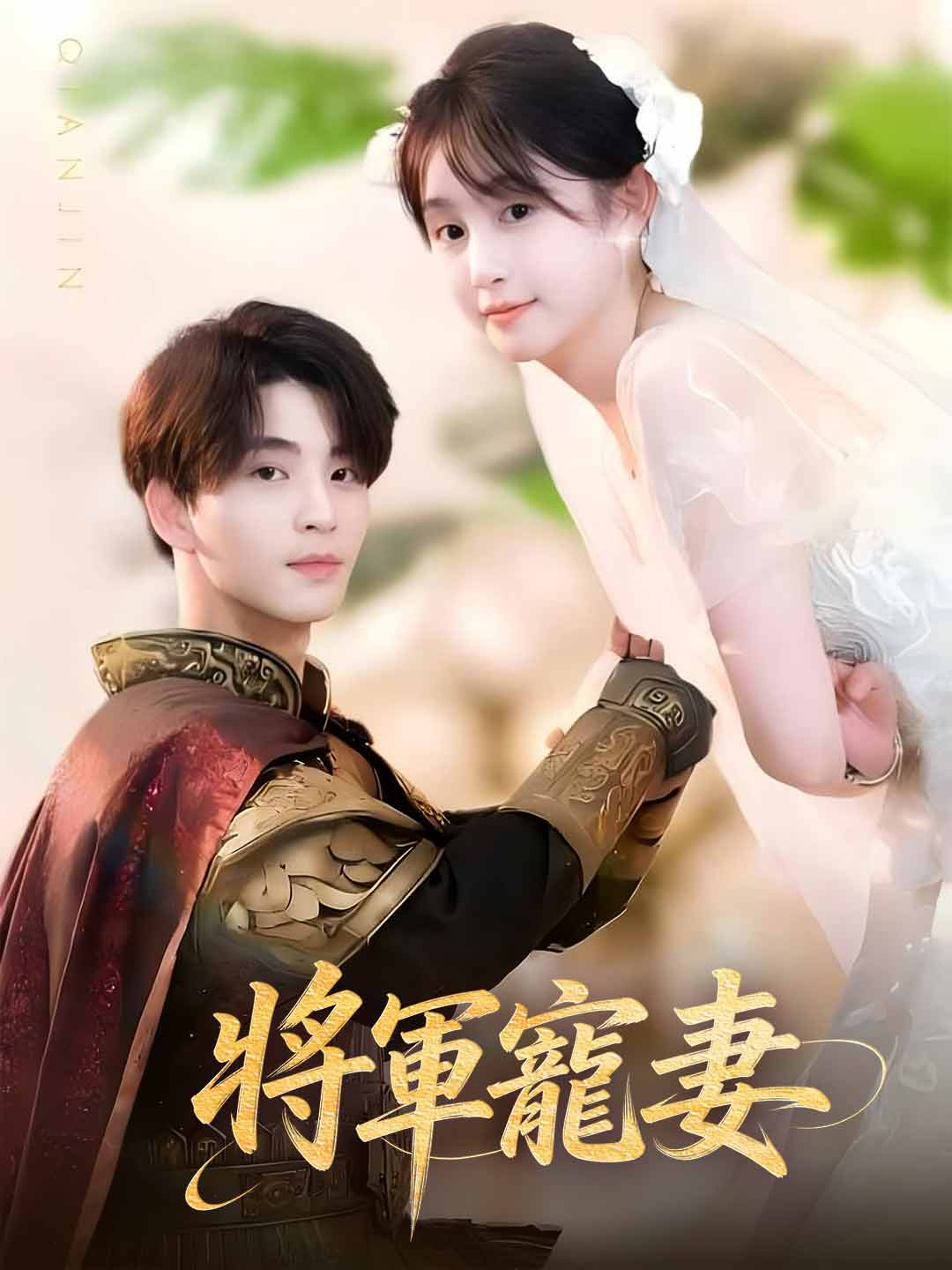 將軍寵妻