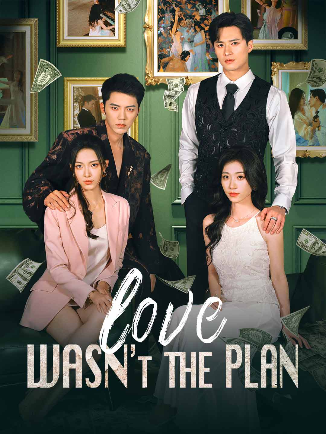 Love Wasn't the Plan