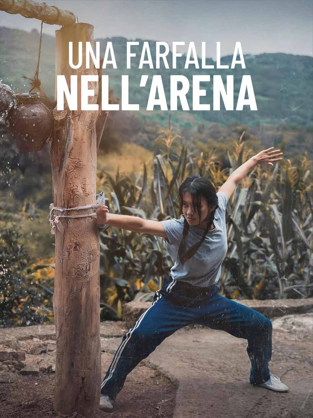 Una farfalla nell’arena