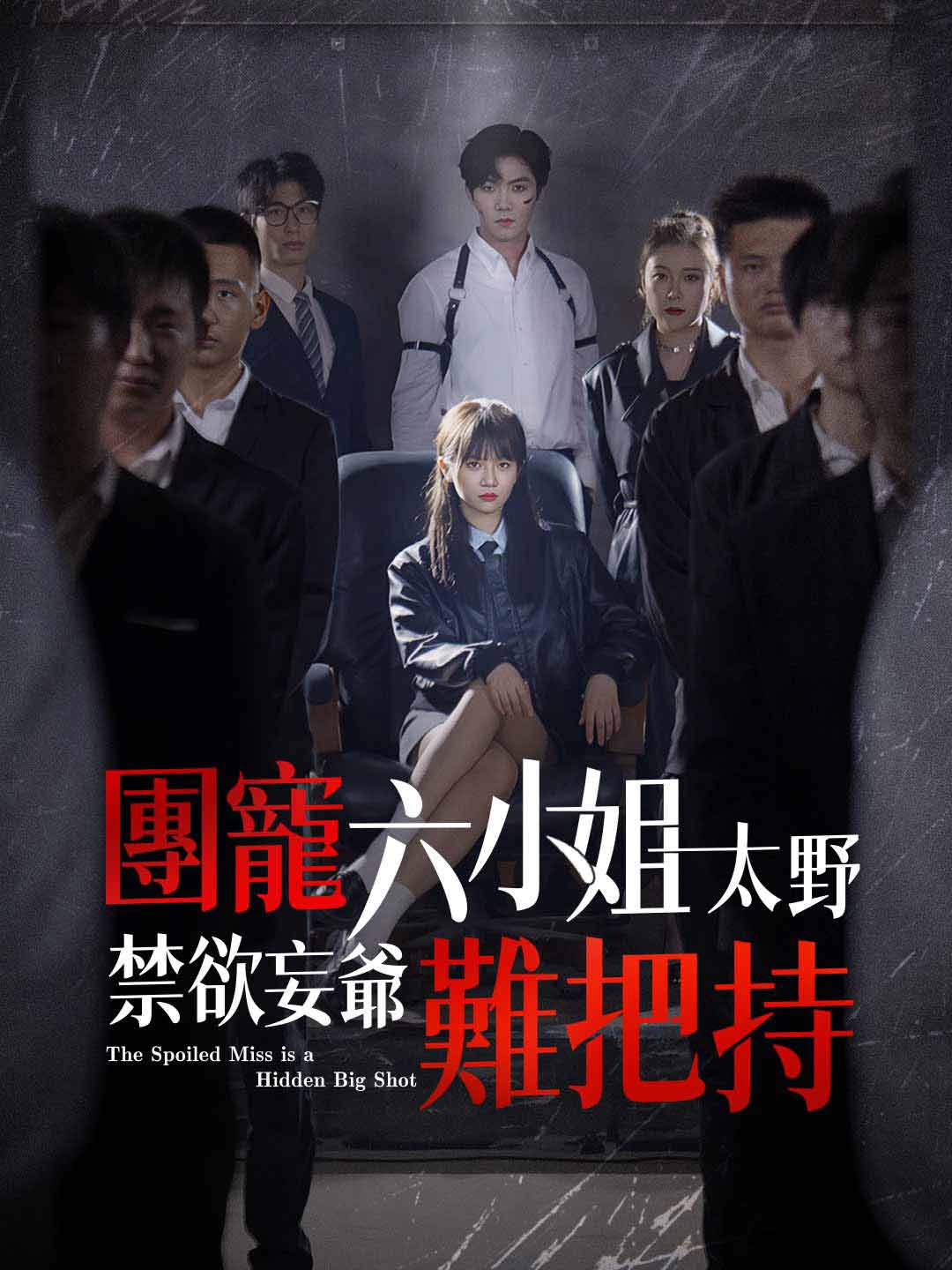 團寵六小姐太野,禁欲妄爺難把持