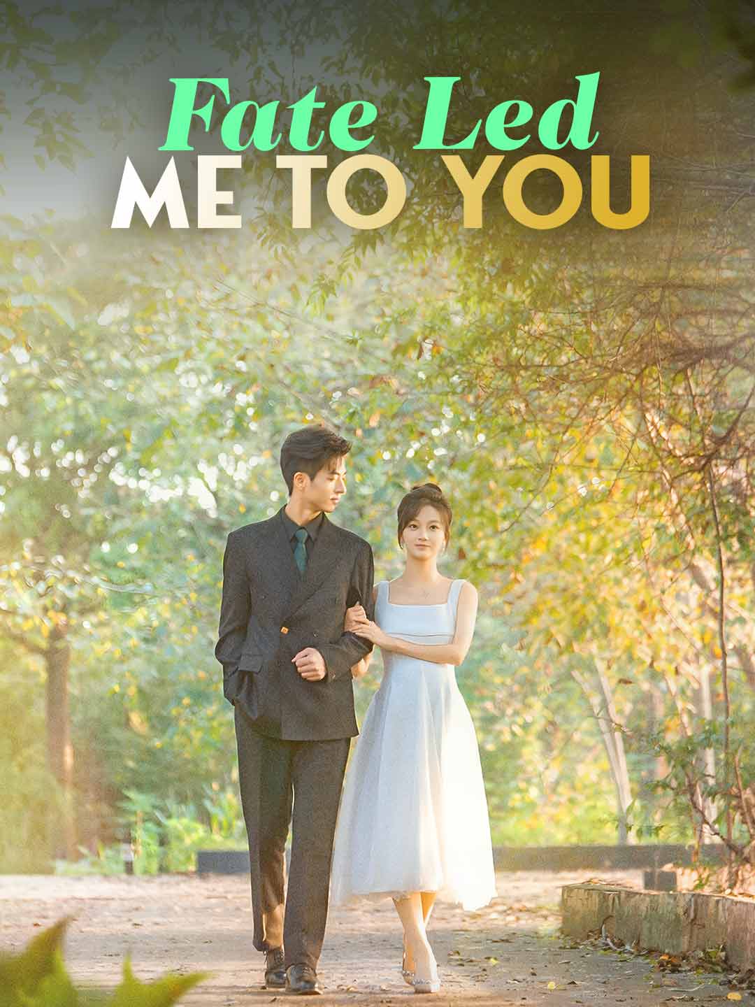 Fate Led Me to You