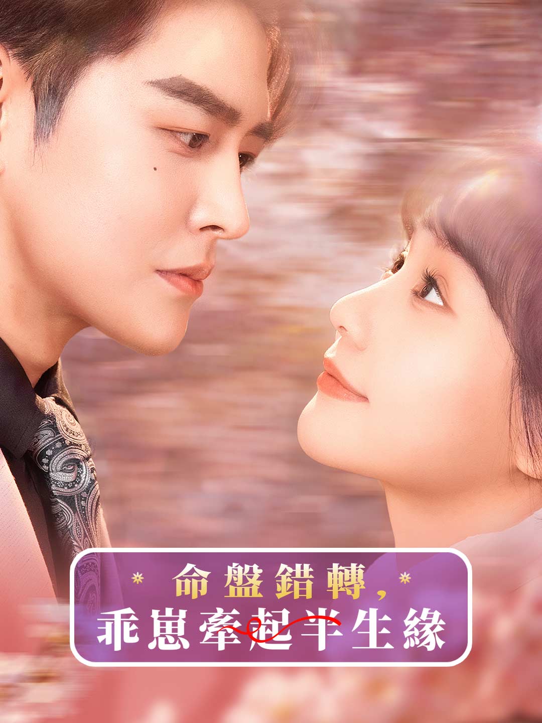 命盤錯轉,乖崽牽起半生緣